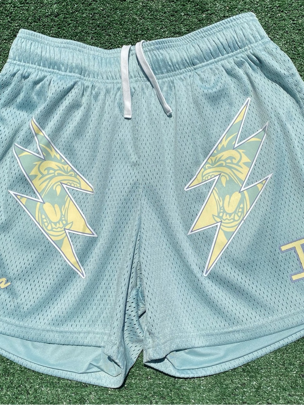 Inaka Power Gorilla Lighting Bolt Mint Mesh Lined Shorts Men’s Medium W/ Pockets